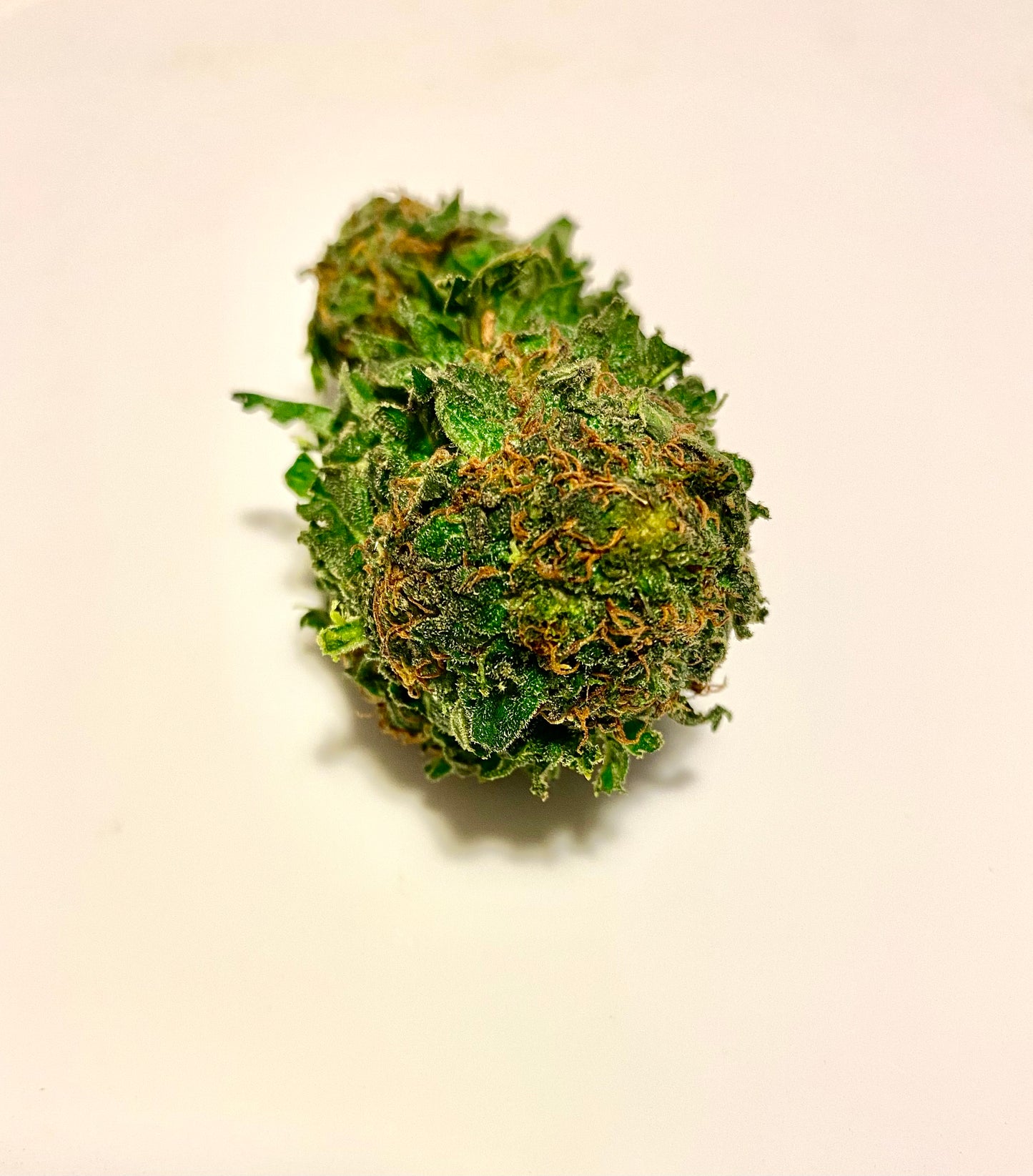 PEACH - Fleurs CBD